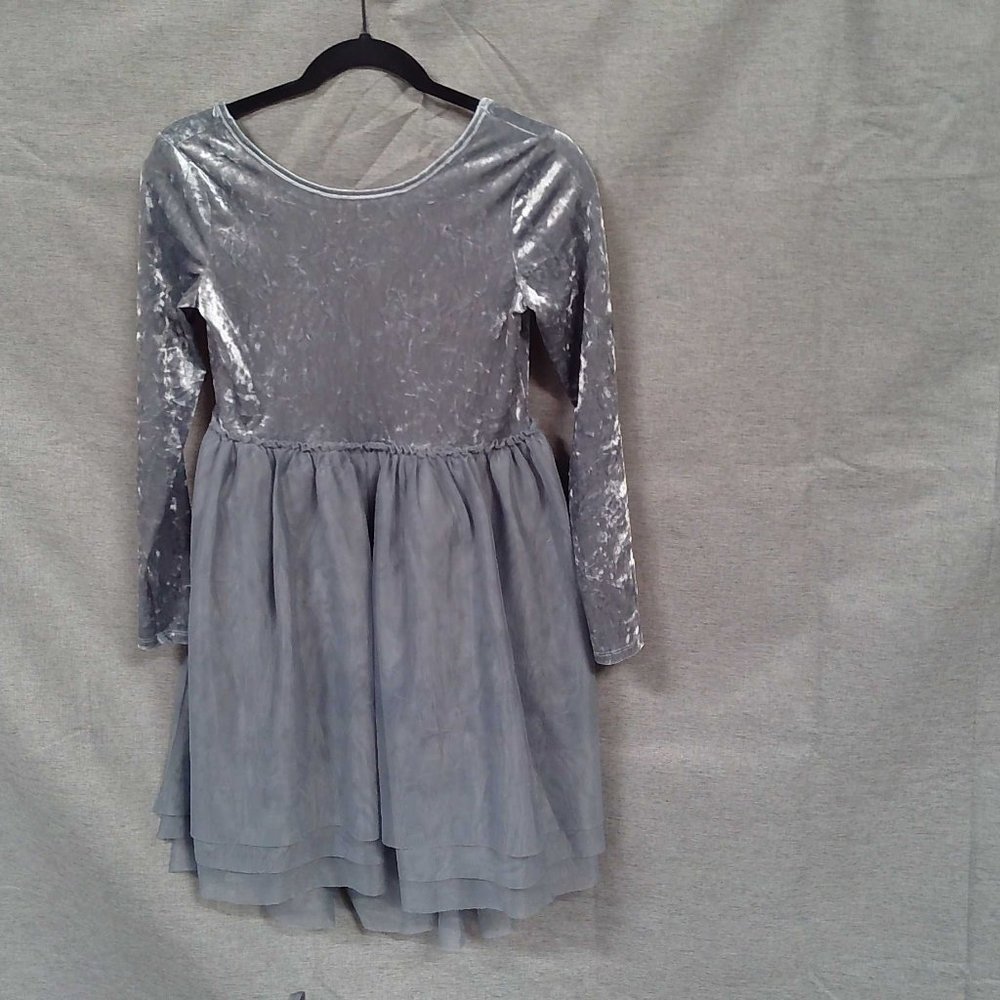 New long-sleeved velvet and tulle dress